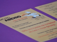 AvenueFlyer2